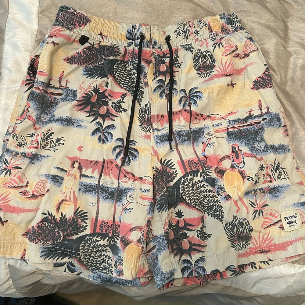 Spicy Tuna Men’s bathing suit